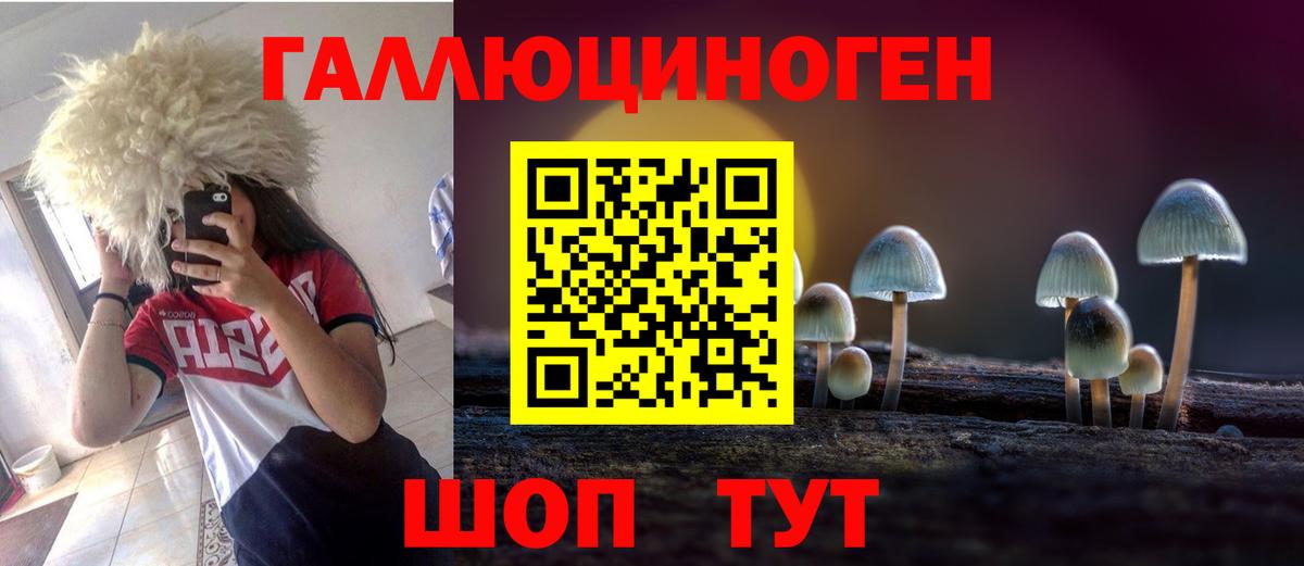 Галлюциногенные грибы Psilocybine cubensis  Вход с VPN  Домодедово 