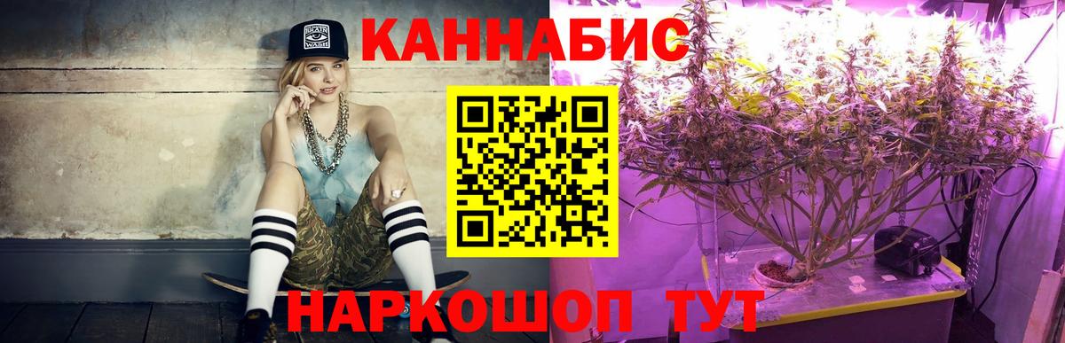 Бошки марихуана план  Вход с VPN  Канабис конопля  МАРИХУАНА планчик  Домодедово 